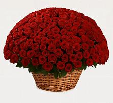 Премиум букет из: Розы #REPLACE_PRED# Норильске